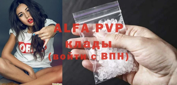 стаф Новозыбков