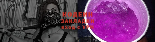 стаф Новозыбков