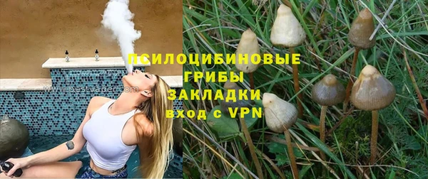 ALPHA PVP Новодвинск