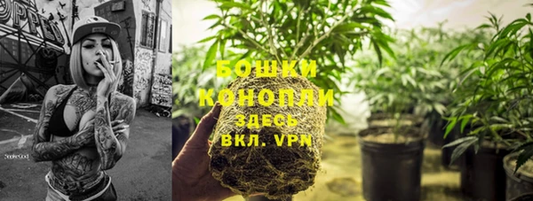 стаф Новозыбков