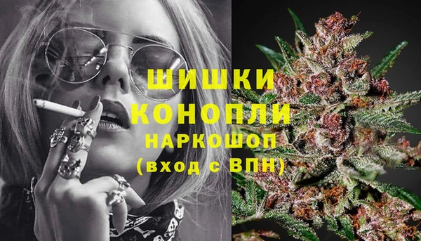 Альфа ПВП Новокубанск
