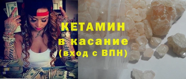 стаф Новозыбков