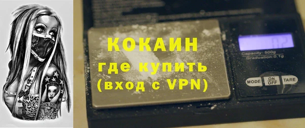 стаф Новозыбков